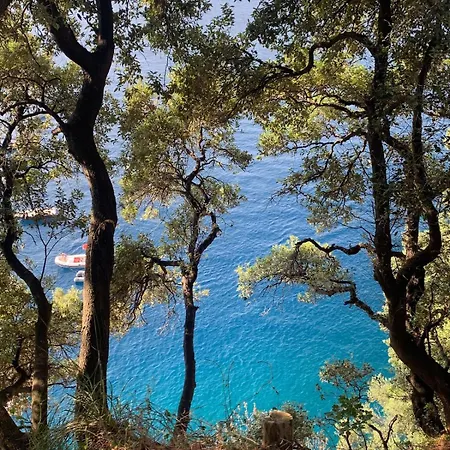 Apartment Sea View With Private Garden Camogli