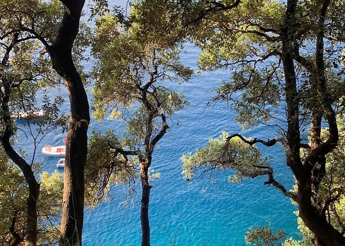 Lägenhet Sea View With Private Garden Camogli